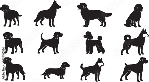 arious Dog Breeds Collection – Different Species of Dogs Isolated on White Background