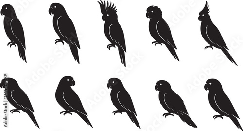 Different types of parrots