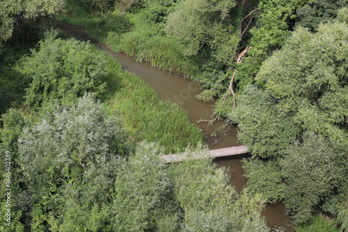 Scenic view of a winding creek surrounded by lush greenery and a wooden bridge during daylight hours