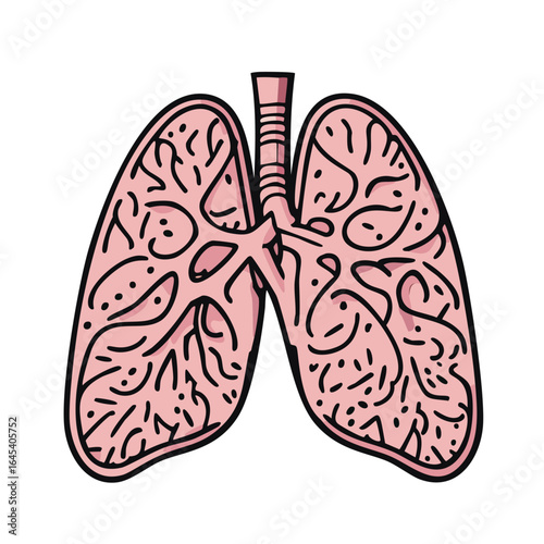 Pink lungs on on transparent background