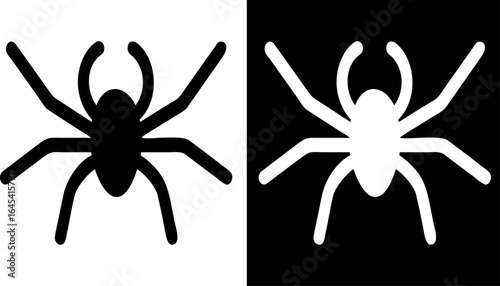 Top Down View of a Spider