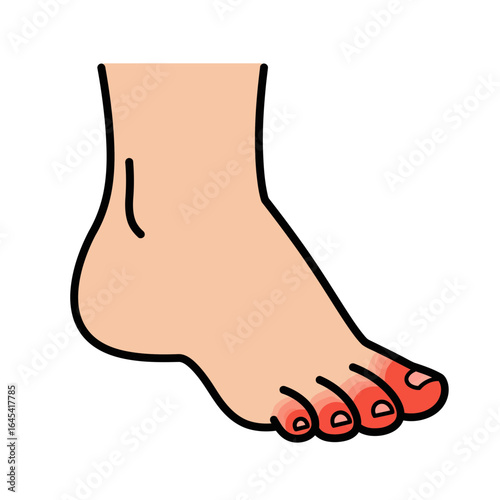 Foot Illustration: A detailed illustration of a human foot. Emphasizing its anatomical structure and highlighting the foot's role in human mobility.