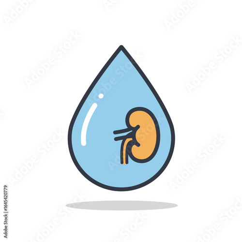 Kidney care and hydration: A striking illustration features a stylized kidney inside of a water droplet, perfectly representing the connection between kidney health and hydration.