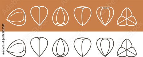 Buckwheat set. Isolated buckwheat on white background. Outline. Line