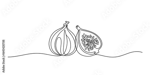 Whole and half fig fruit continuous line drawing vector illustration