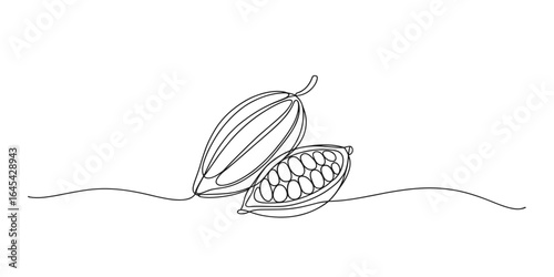 Whole and half cacao pod continuous line drawing vector illustration