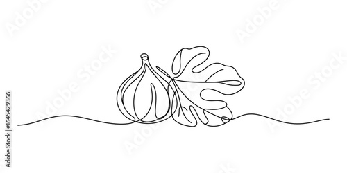 Fig fruit with leaf continuous line drawing vector illustration
