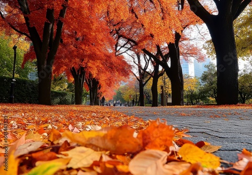 Autumnal Pathway Lined with Colorful Trees