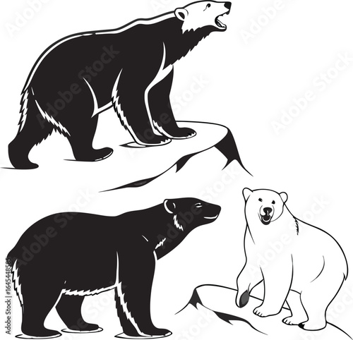 Vector illustration of a wild polar bear silhouette, a white mammal in nature