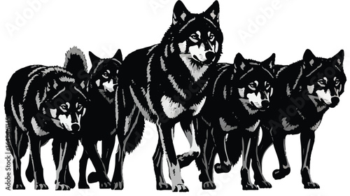 wolf vector illustration