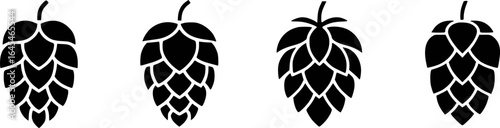 Black hop cones isolated on white background plant botanical