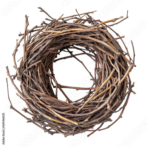 Empty bird nest twigs circle brown nature, isolated on a transparent background