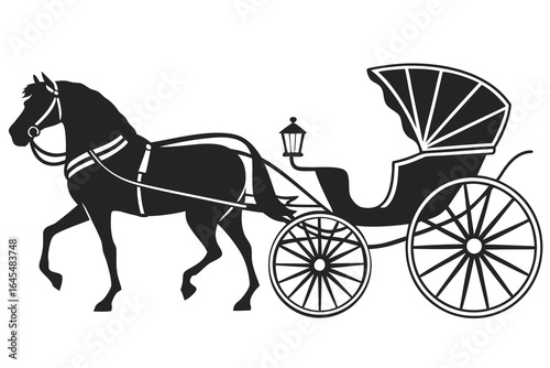 Silhouette of a horse pulling a vintage carriage with a canopy