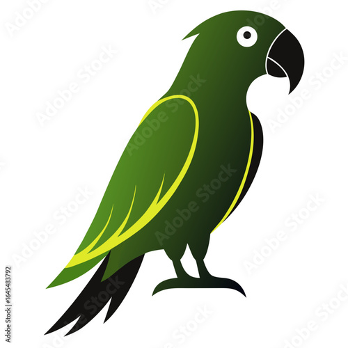 vector illustration of a parrot