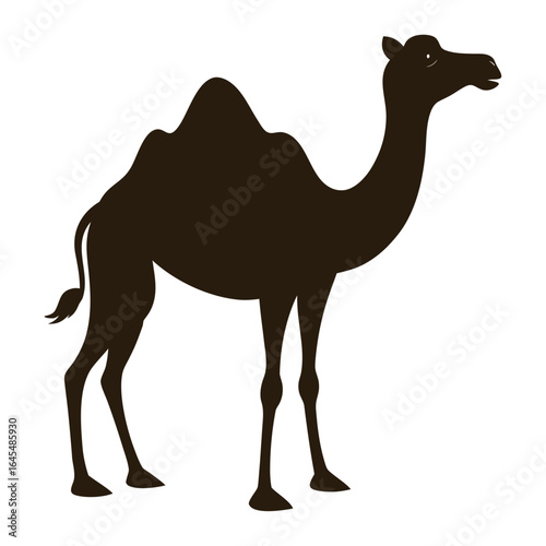 camel on a white background