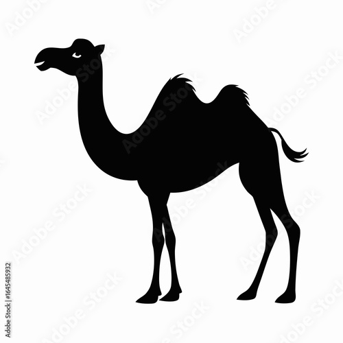 camel on the beach