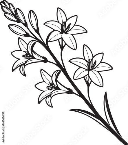 Elegant Line Art Flowers Illustration