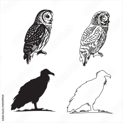 A vector illustration of a set of owls on a branch, featuring diverse birds of prey like eagles and hawks with detailed brown and white feathers