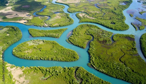 Azure Riverine Maze: An awe-inspiring aerial shot captures the intricate network of azure river channels winding through lush greenery and fertile earth.