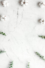 Flowers frame with fresh eucalyptus branches and cotton on white background top view copy space