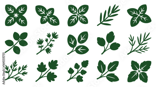 Collection of Green Herb and Leaf Silhouettes