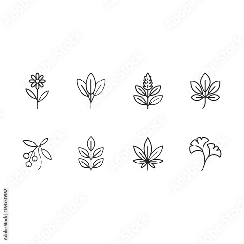 Herbal Plant Icons set