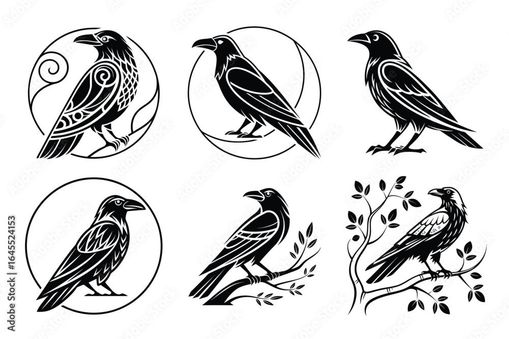 Fototapeta premium Discover striking raven designs featuring intricate patterns and naturalistic poses, perfect for adding a touch of mystery and elegance to your projects.