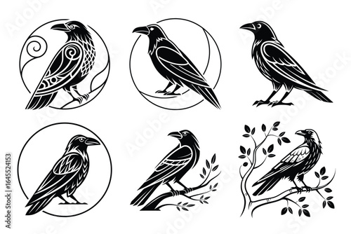 Discover striking raven designs featuring intricate patterns and naturalistic poses, perfect for adding a touch of mystery and elegance to your projects.