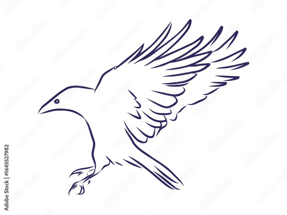 Obraz premium A crow in flight, symbolizing freedom and knowledge.