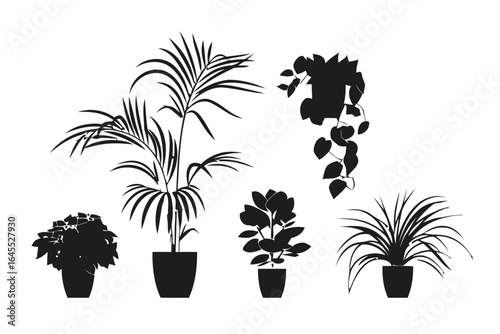 Silhouette of various houseplants in pots.
