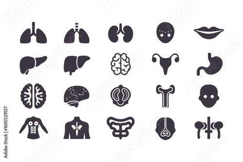Human Organs Icon Set. Vector Medical Anatomy Symbols for Healthcare and Biology