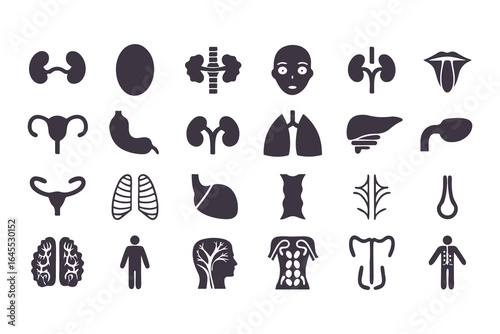 Human Organs Icon Set. Vector Medical Anatomy Symbols for Healthcare and Biology