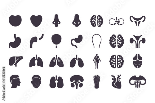 Human Organs Icon Set. Vector Medical Anatomy Symbols for Healthcare and Biology