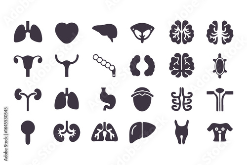 Human Organs Icon Set. Vector Medical Anatomy Symbols for Healthcare and Biology