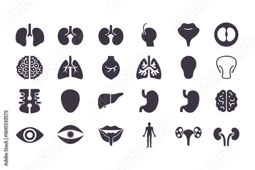 Human Organs Icon Set. Vector Medical Anatomy Symbols for Healthcare and Biology
