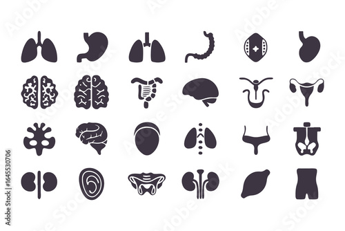 Human Organs Icon Set. Vector Medical Anatomy Symbols for Healthcare and Biology