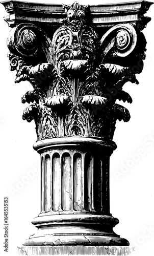 Corinthian column capital with acanthus ornament and detailed linework. Classical architecture vector illustration in black and white.