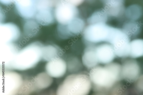 Abstract natural blurred light blue and green background with bo