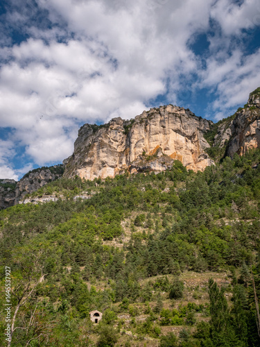 Gorges du Tarn en France