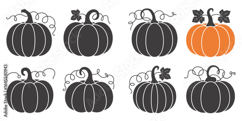 UntitledVector art of collection of pumpkins isolated on white background, representing autumn harvest, halloween, and thanksgiving, with decorative gourds and seasonal festive motifs
