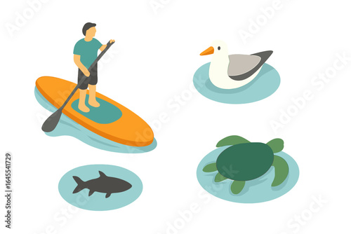 Isometric icon set of man on stand up paddle board with sea wildlife. Water sport activity collection with person on SUP, sea turtle, seagull, and shark silhouette.