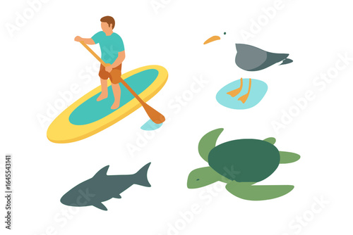 Summer water sport and wildlife icon set. Isometric man on paddleboard, sea turtle, shark, and seagull. Vector icons for stand up paddleboarding and ocean animal theme.