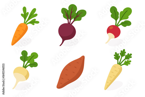 Root vegetables icons set. Isometric flat vector illustration. Farm harvest concept with carrot, beetroot, radish, turnip, sweet potato, parsnip. Healthy organic food.
