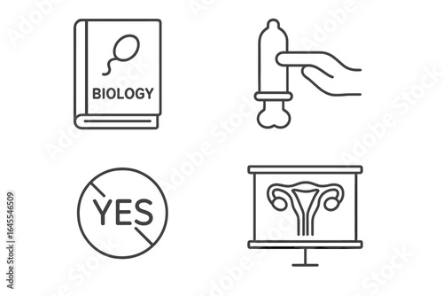 Sexual education linear icons set. Safe sex. Contraception method. Biology lesson. Reproductive health. Woman anatomy. Uterus. Consent. Condom demonstration. Outline signs.