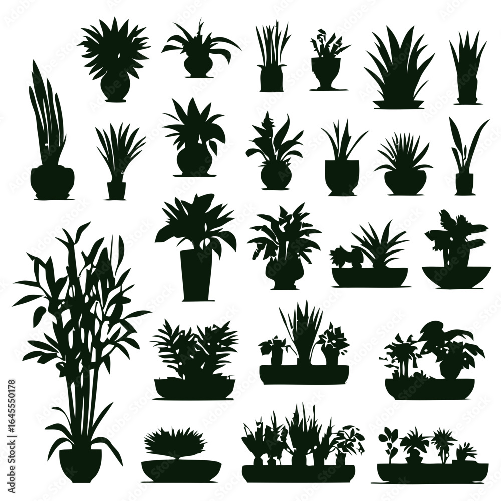 Fototapeta premium Silhouettes of various houseplants in pots. 