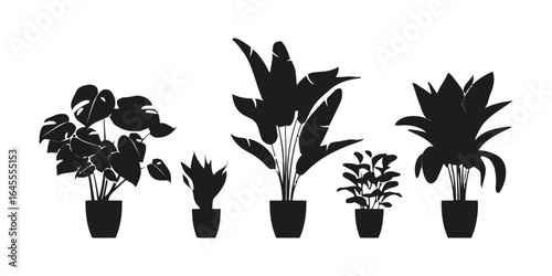 Silhouette of various houseplants in pots.