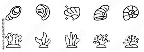 Clean Line Art Icons: Seashells, Clams, and Underwater Seaweed; Simple, Minimalist, and Elegant Ocean Graphic Design Elements for Web or Print.