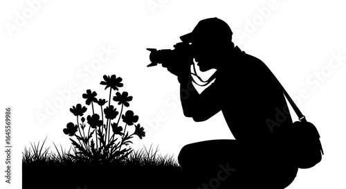 photographer captures delicate wildflowers silhouette image perfect for nature photography and hobby blogs websites and social media