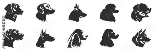 Silhouettes of various dog breeds.