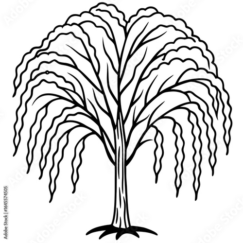 Simple minimalist willow tree line art illustration